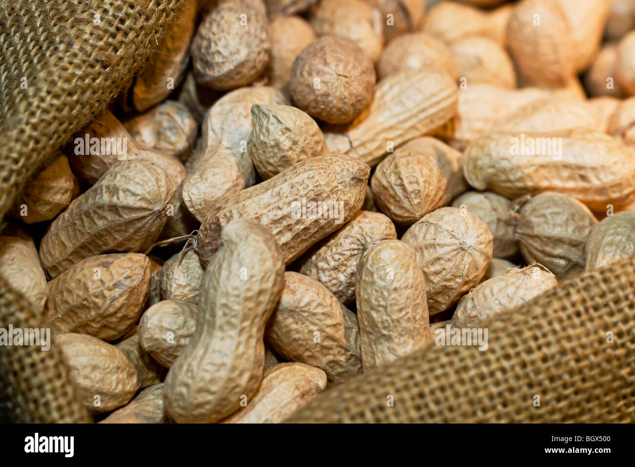 Sackful of peanuts Stock Photo
