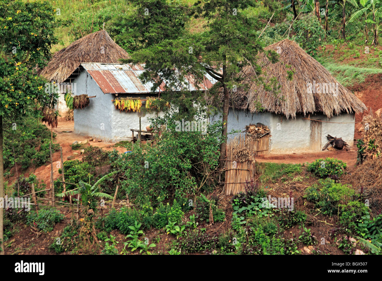 House, Uganda, East Africa Stock Photo