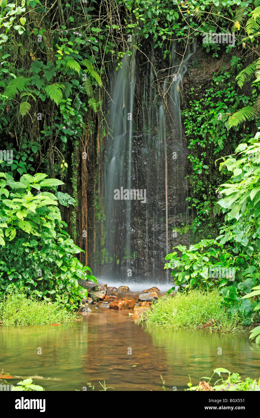 Waterfall, Kibale National Park, Uganda, East Africa Stock Photo