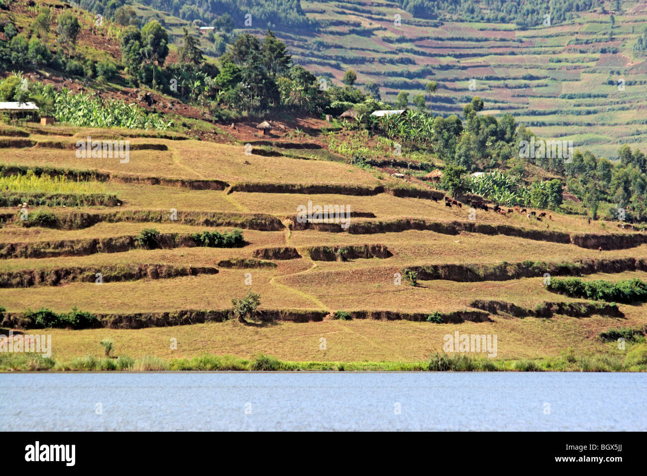 Terrace farming steep hi-res stock photography and images - Alamy