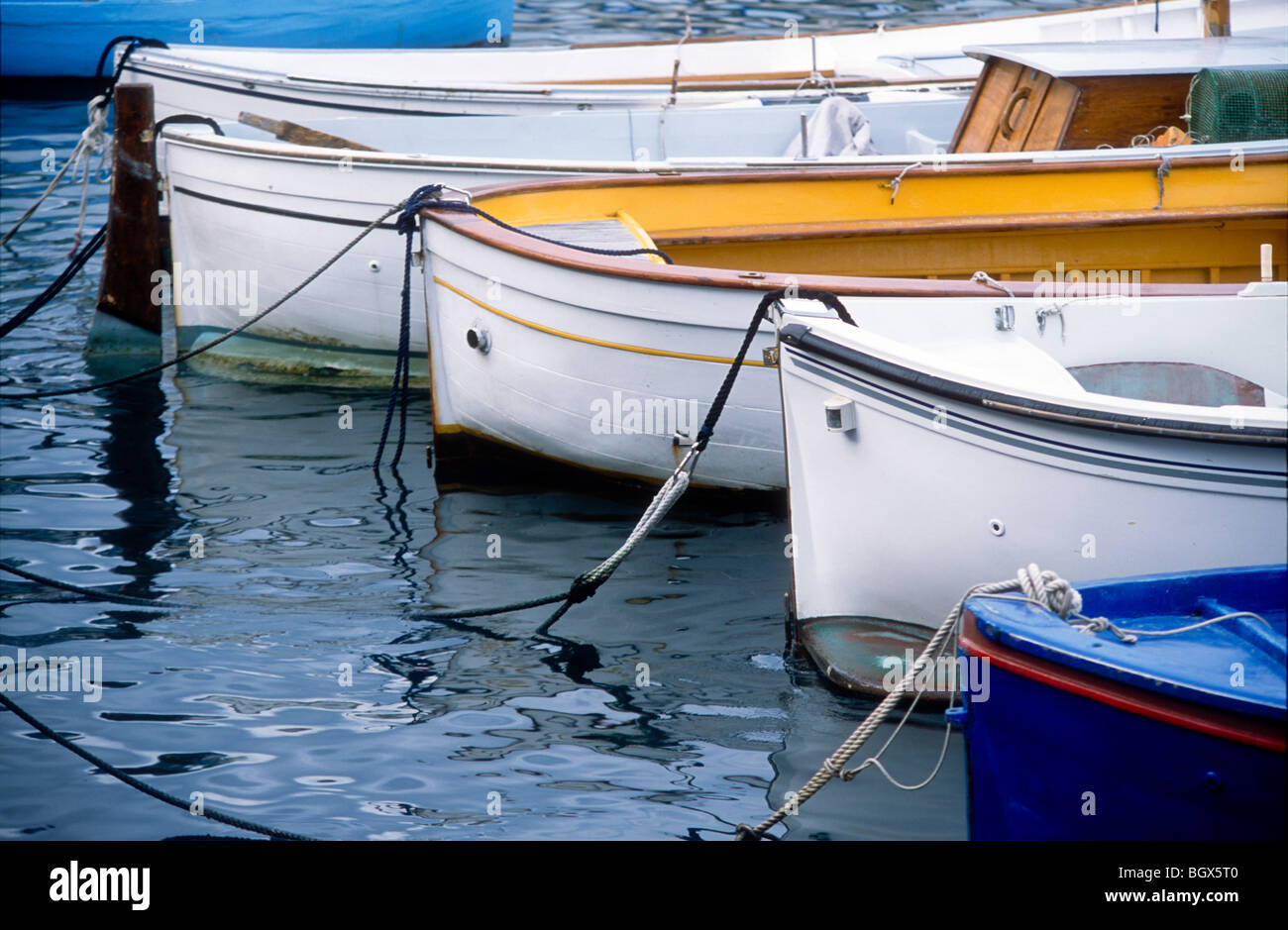Traditional, brightly colored wooden boats in the Grand Marina, Capri, Italy, in the Mediterranean. Stock Photo