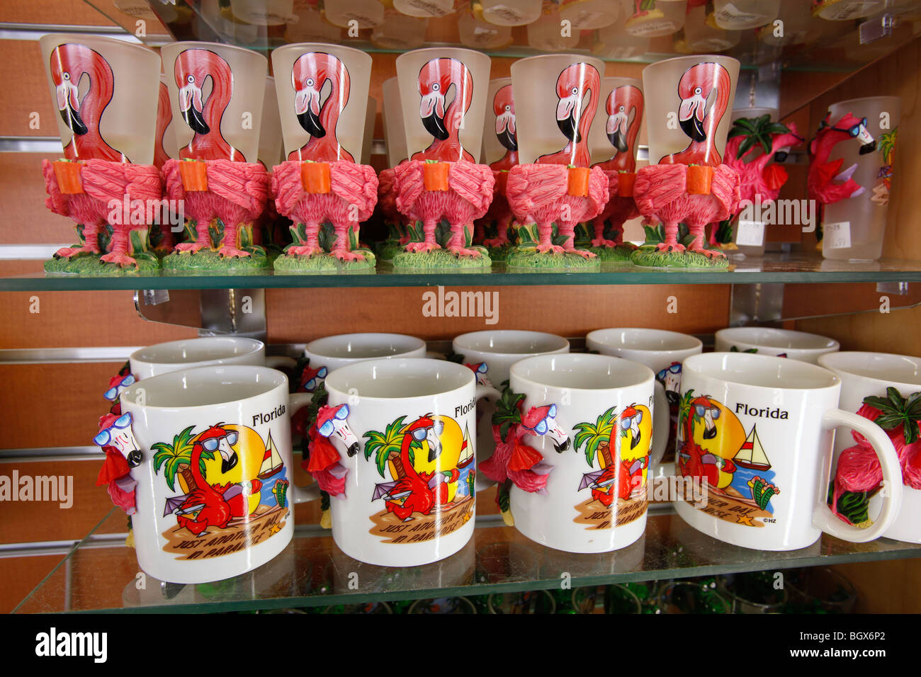Florida souvenirs, airport souvenir shop Stock Photo Alamy