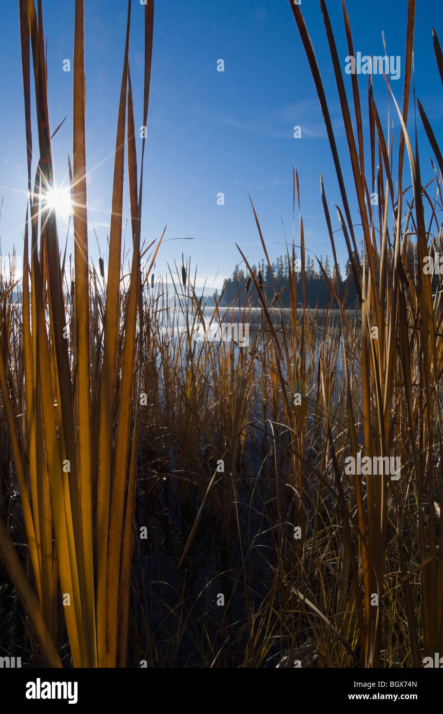 Lower thompson lake in montana hires stock photography and images Alamy