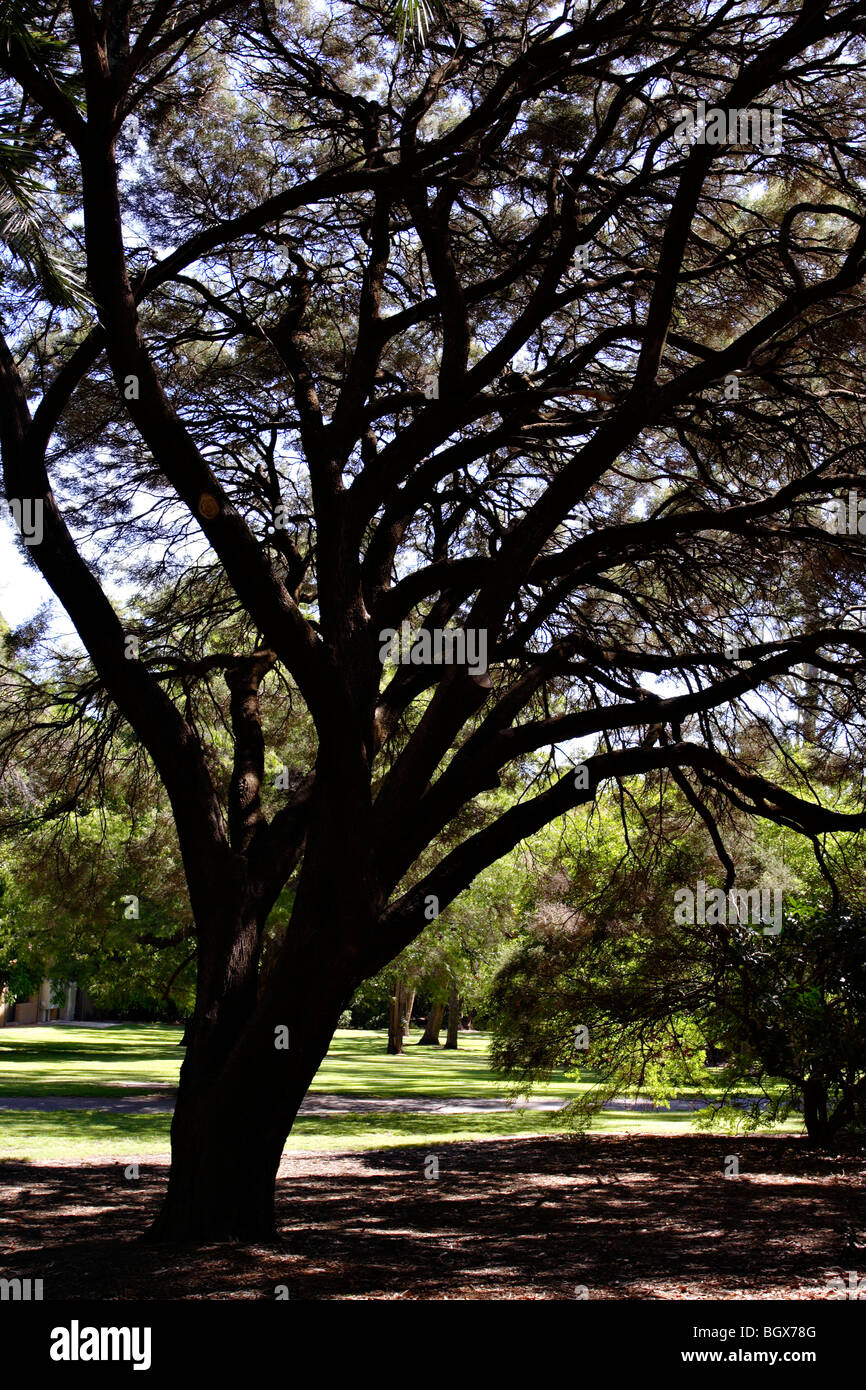 Kings silhouette hi-res stock photography and images - Alamy