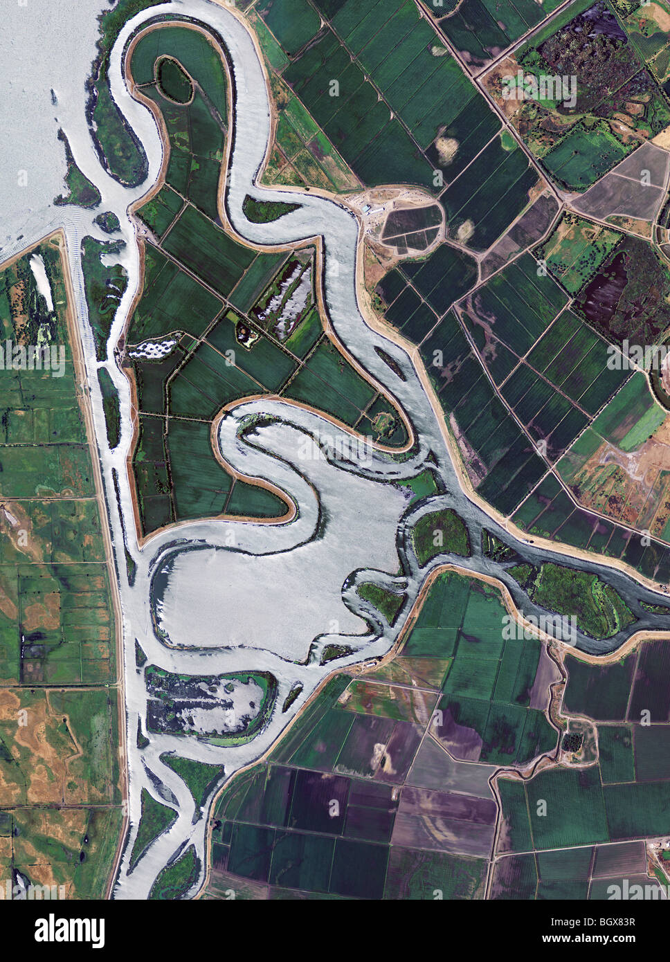 aerial view above Sacramento river delta croplands levees sloughs California Stock Photo