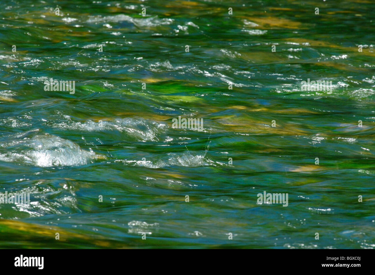 Environment green rivers and waters hi-res stock photography and images ...