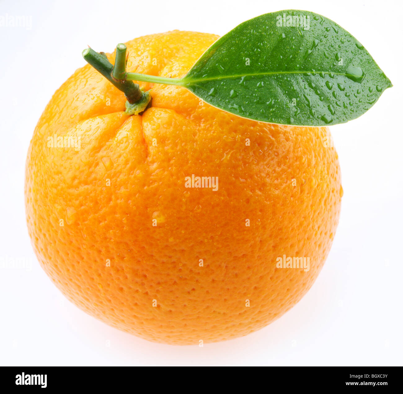 ripe orange with leaves on white background Stock Photo