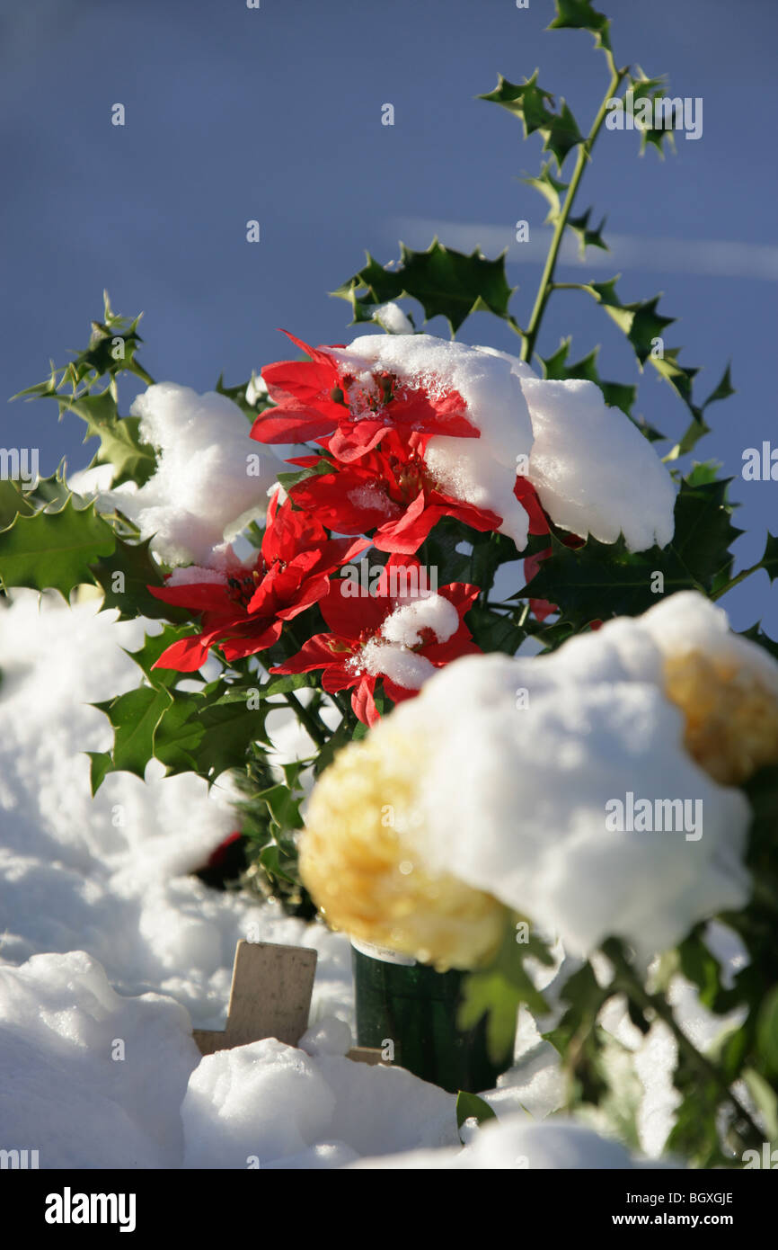 Holly and silk flowers marking a snow covered grave. Stock Photo