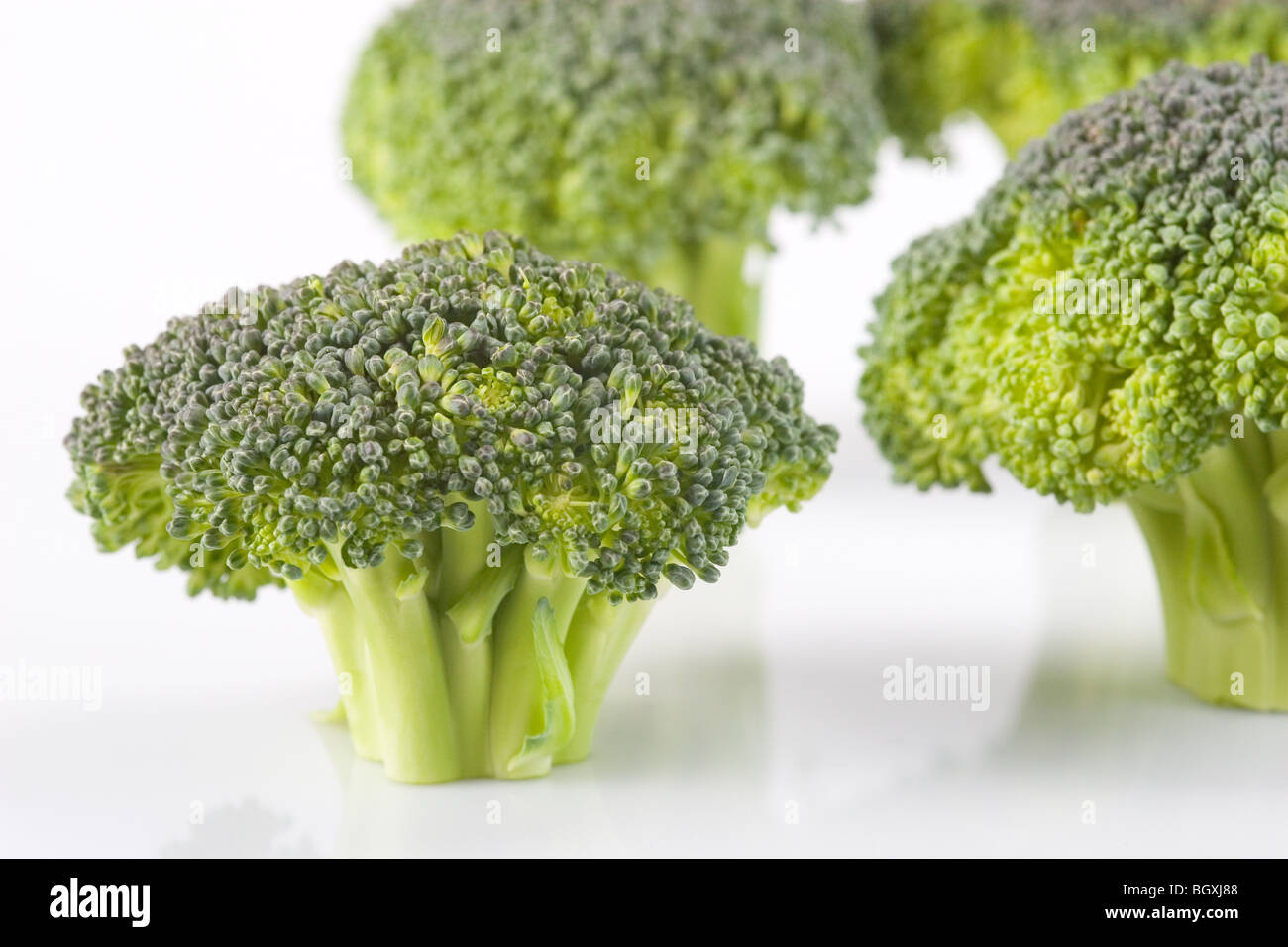 Broccoli stems Stock Photo 27629960 Alamy