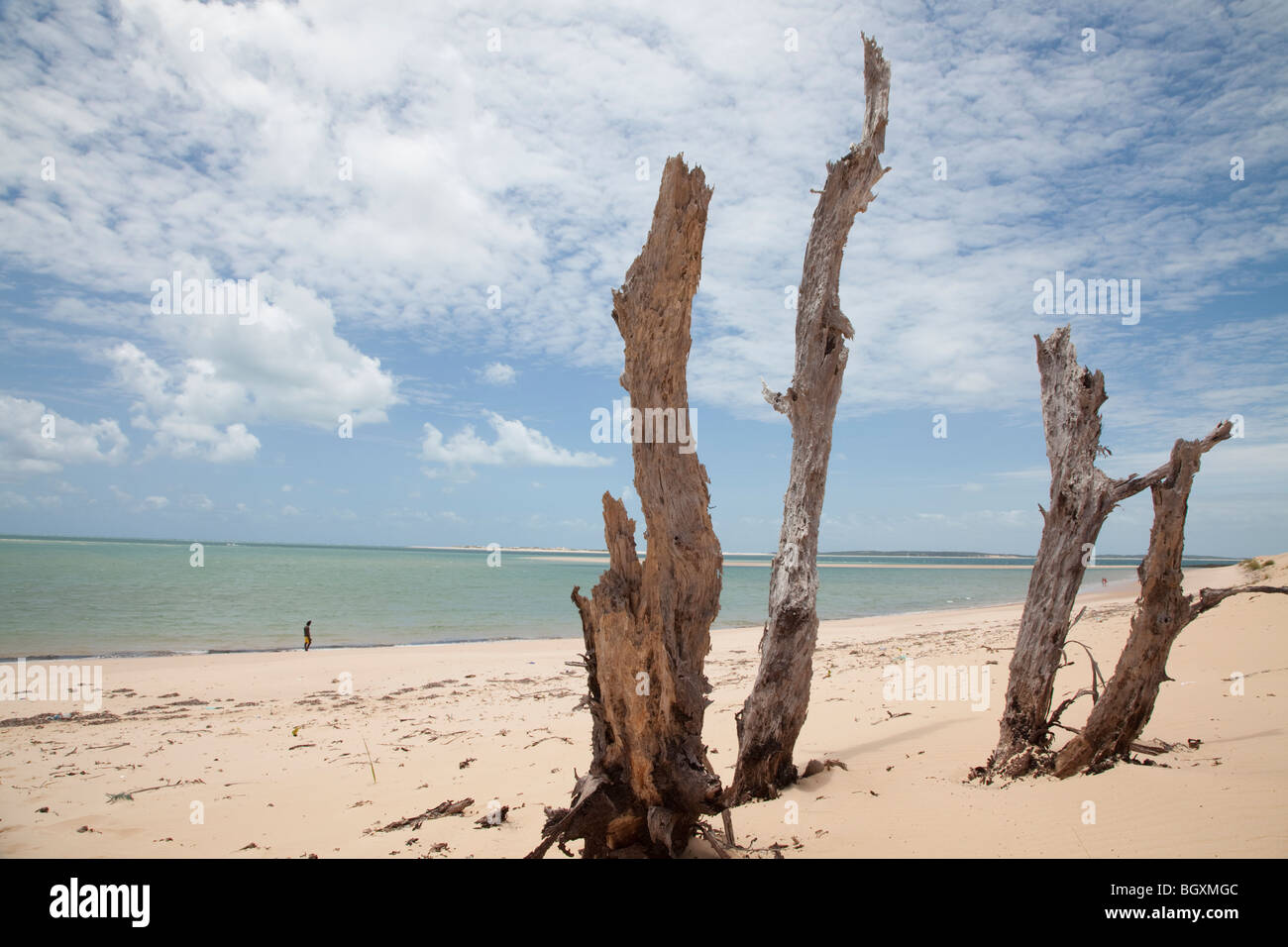 Beach and dry food on Bazaruto Island, Mozambique, East Africa Stock Photo