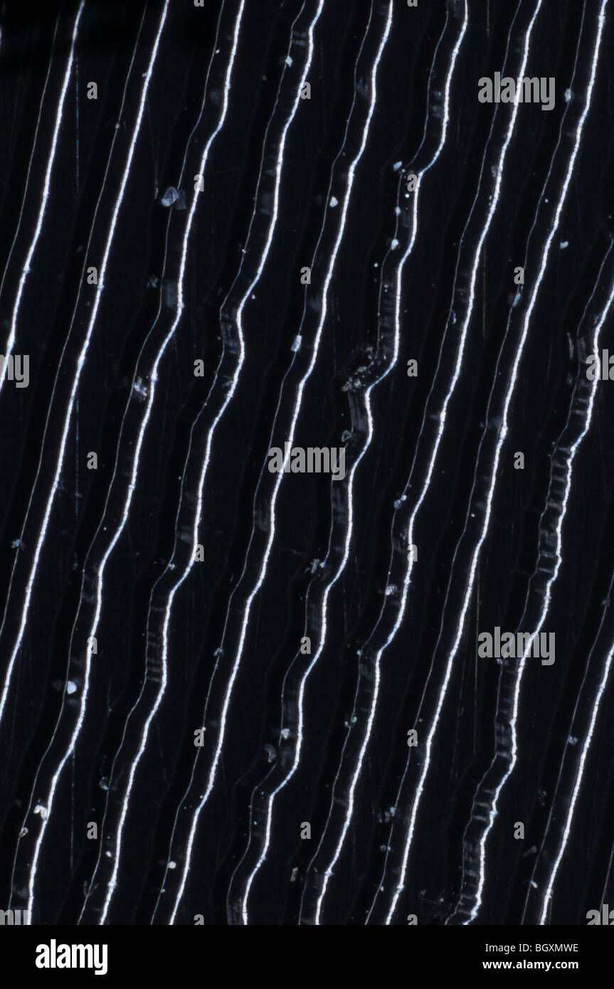 The grooves on a 45RPM stereo single vinyl record photographed at 25x resolution Stock Photo