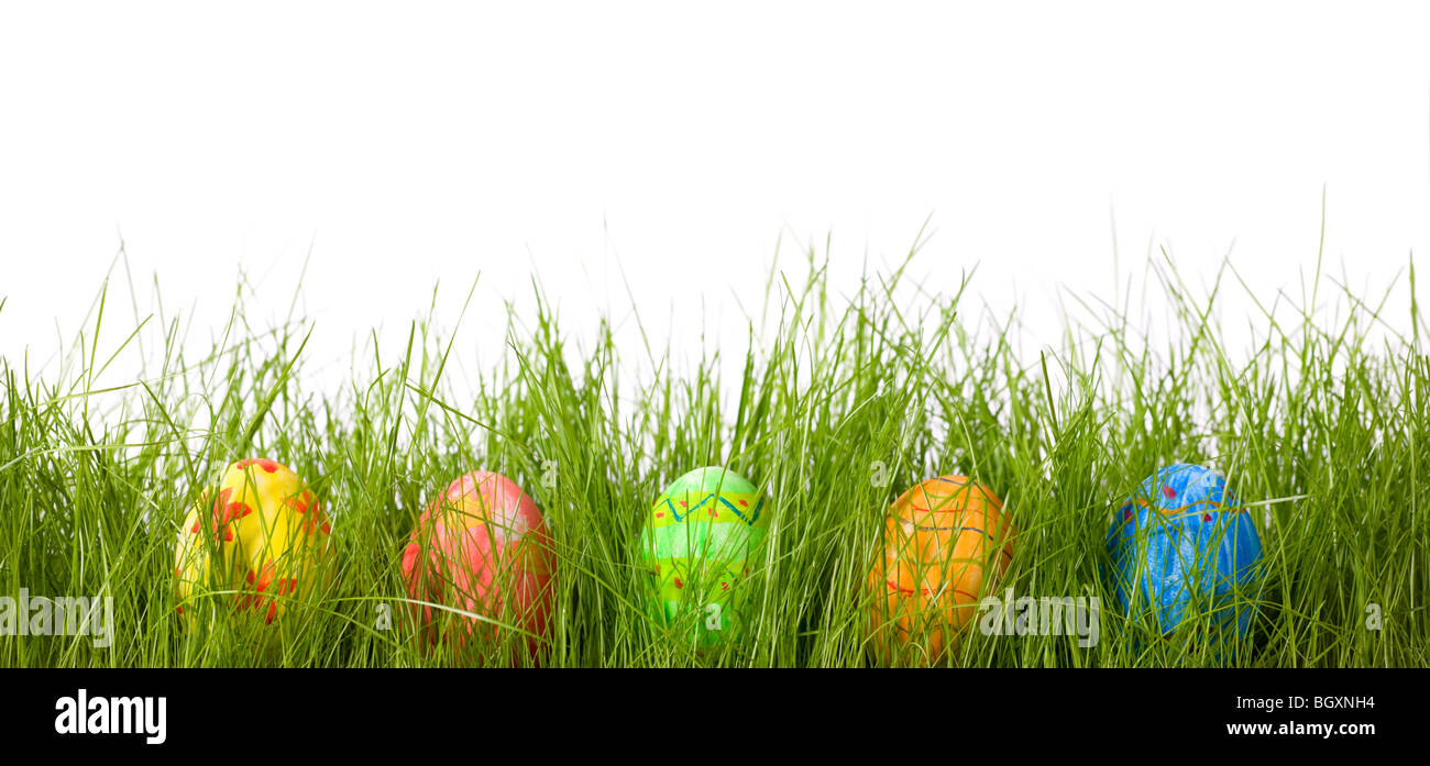 Easter eggs in fresh green grass Stock Photo - Alamy