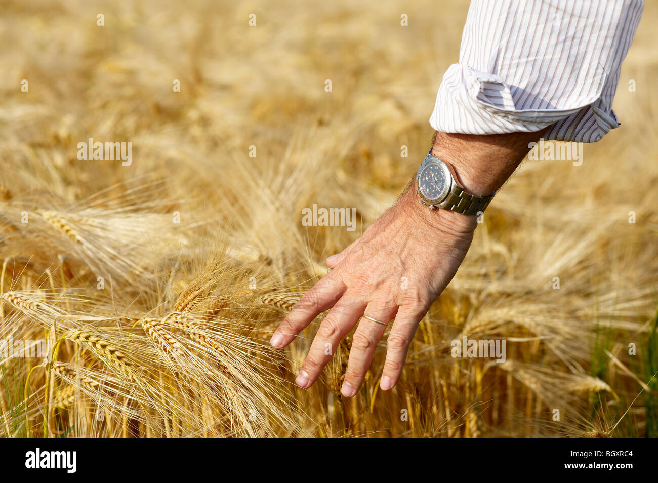 Field field hand hires stock photography and images Alamy