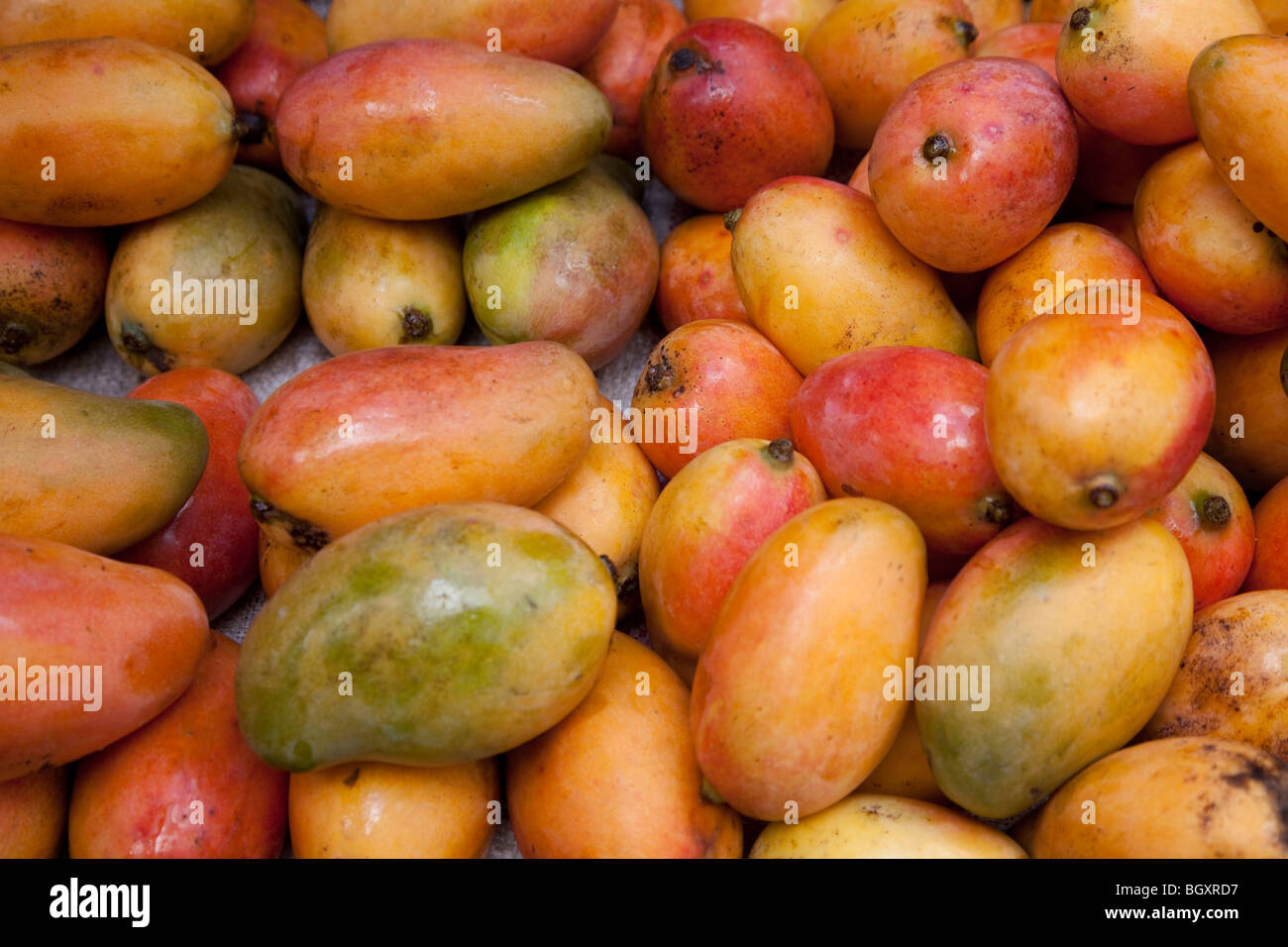 Mangos, Mozambique, Maputo Stock Photo