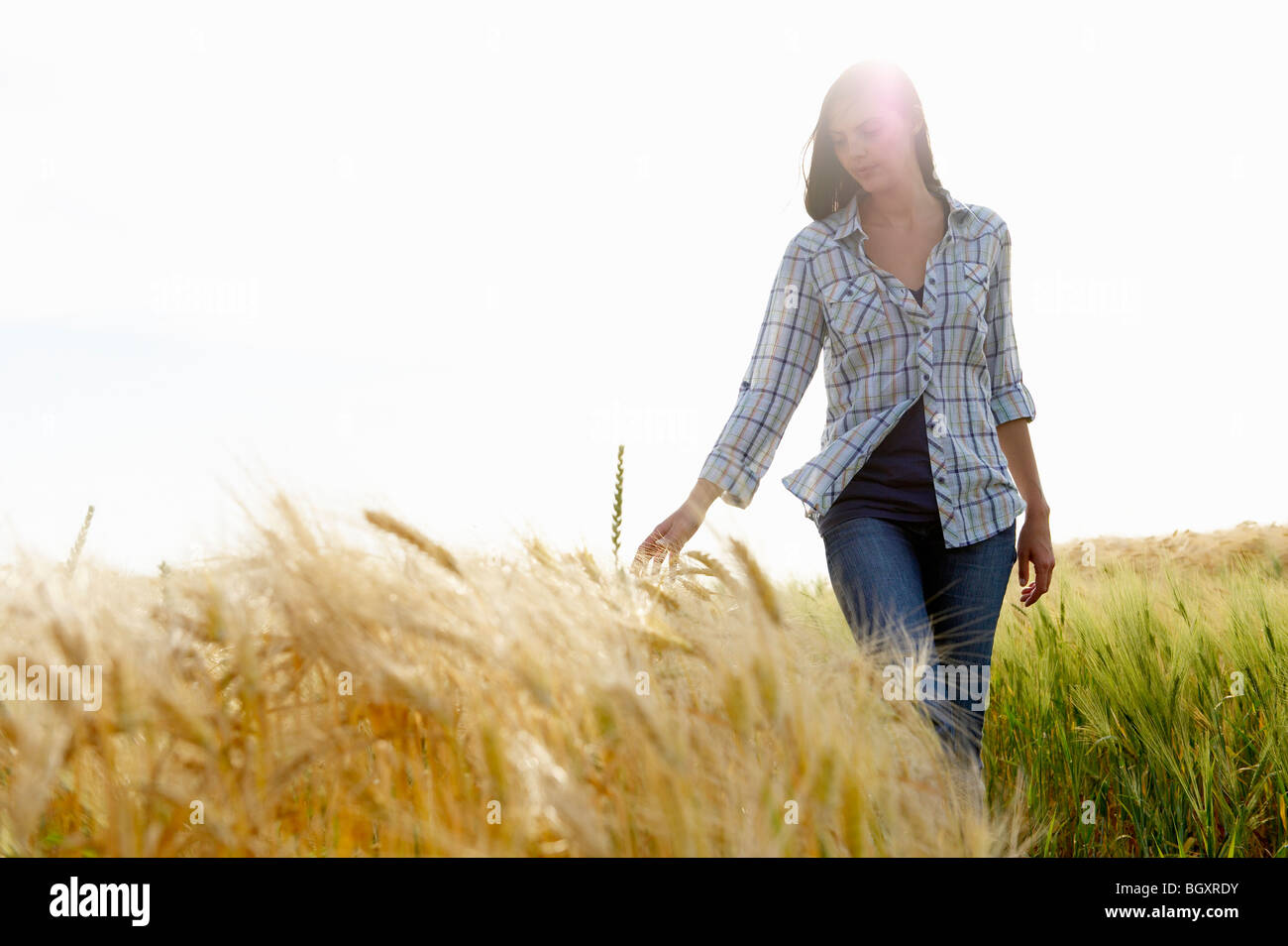 Woman walking in a wheat field Stock Photo - Alamy