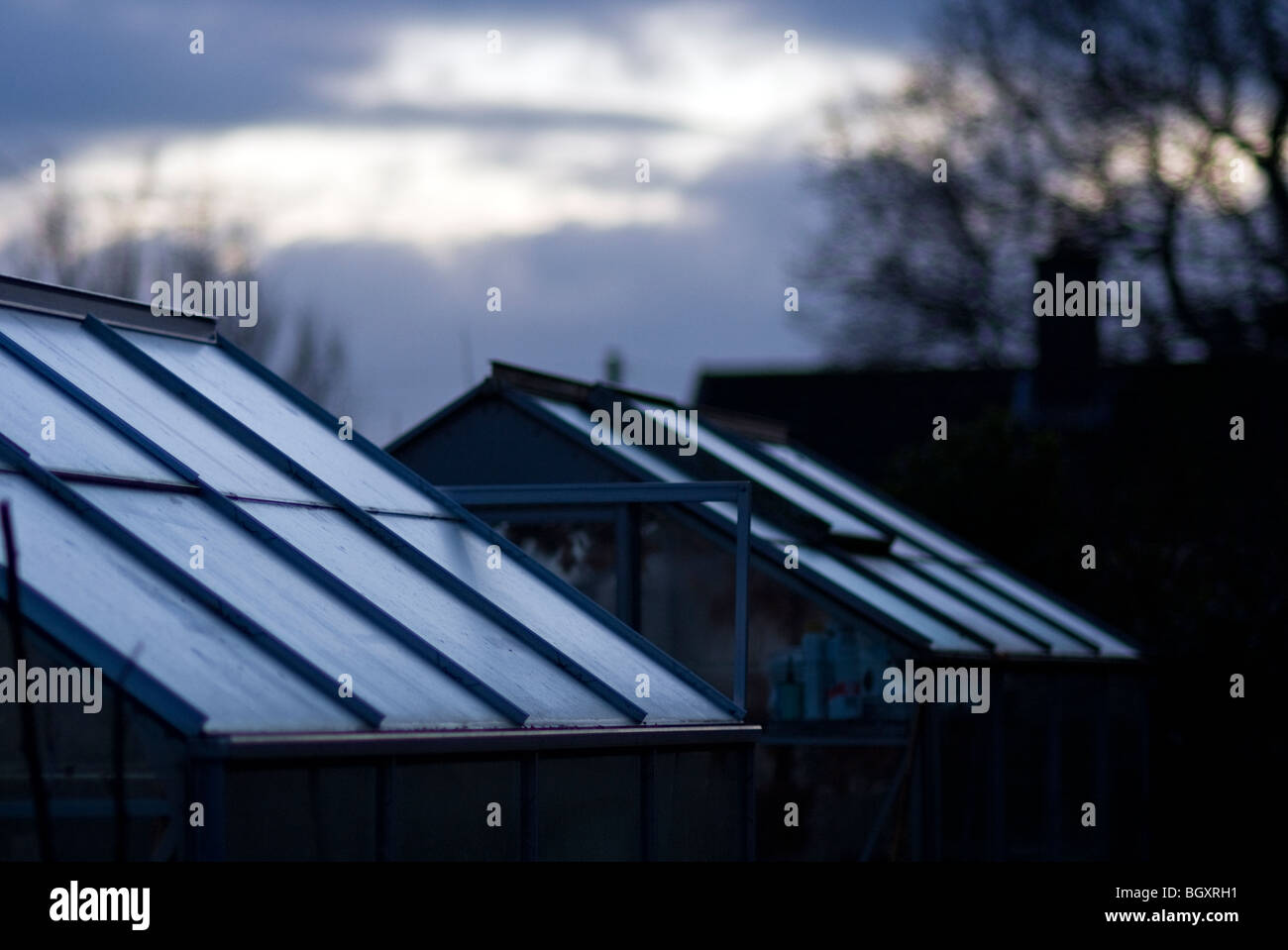 evening light on aluminium greenhouse roofs Stock Photo