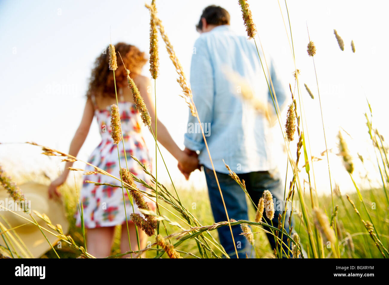 Couple holding hands in a wheat field Stock Photo