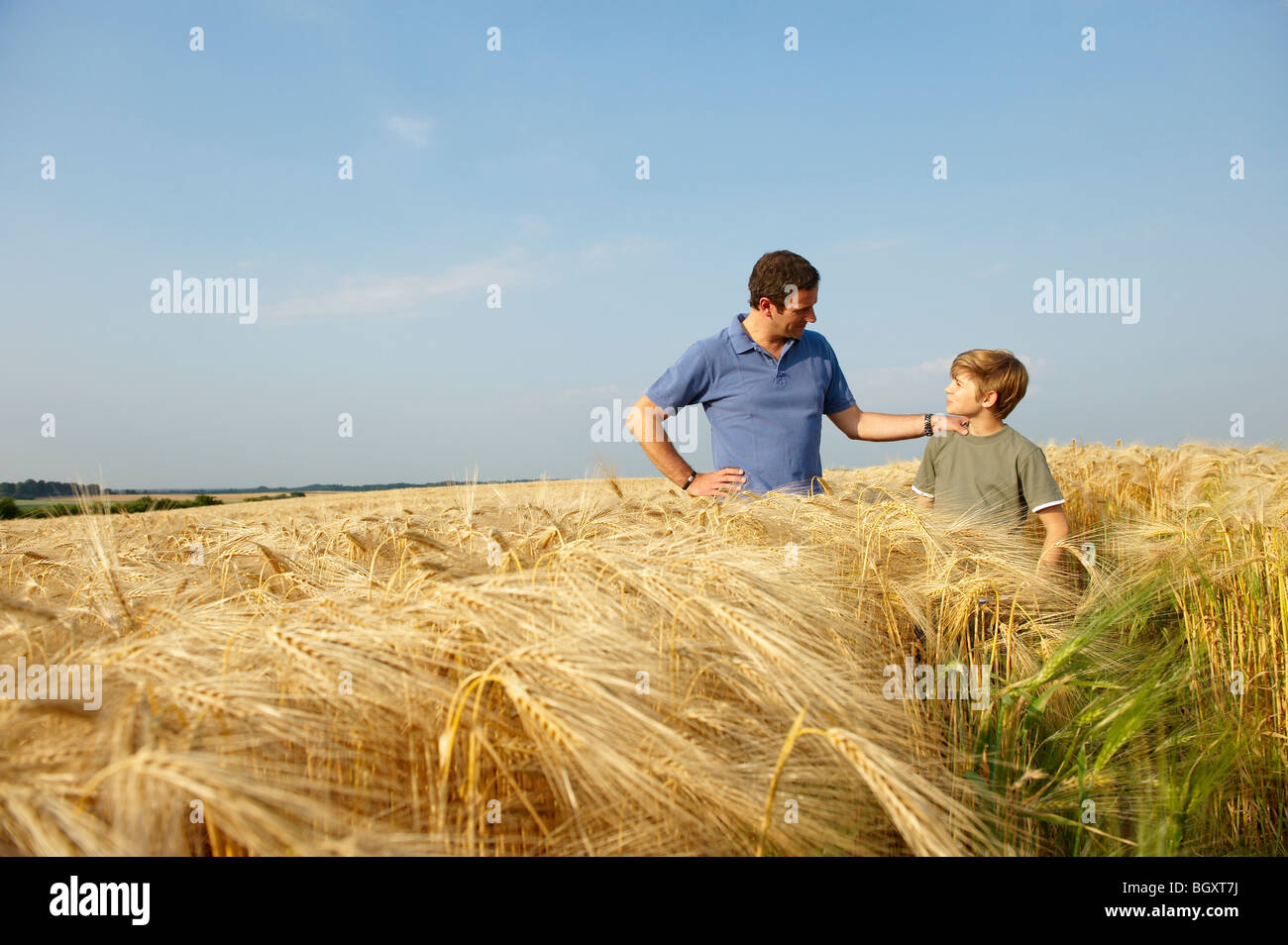 священники ставропольского края. в. батюшка в поле. монахи трудятся. освящение полей.