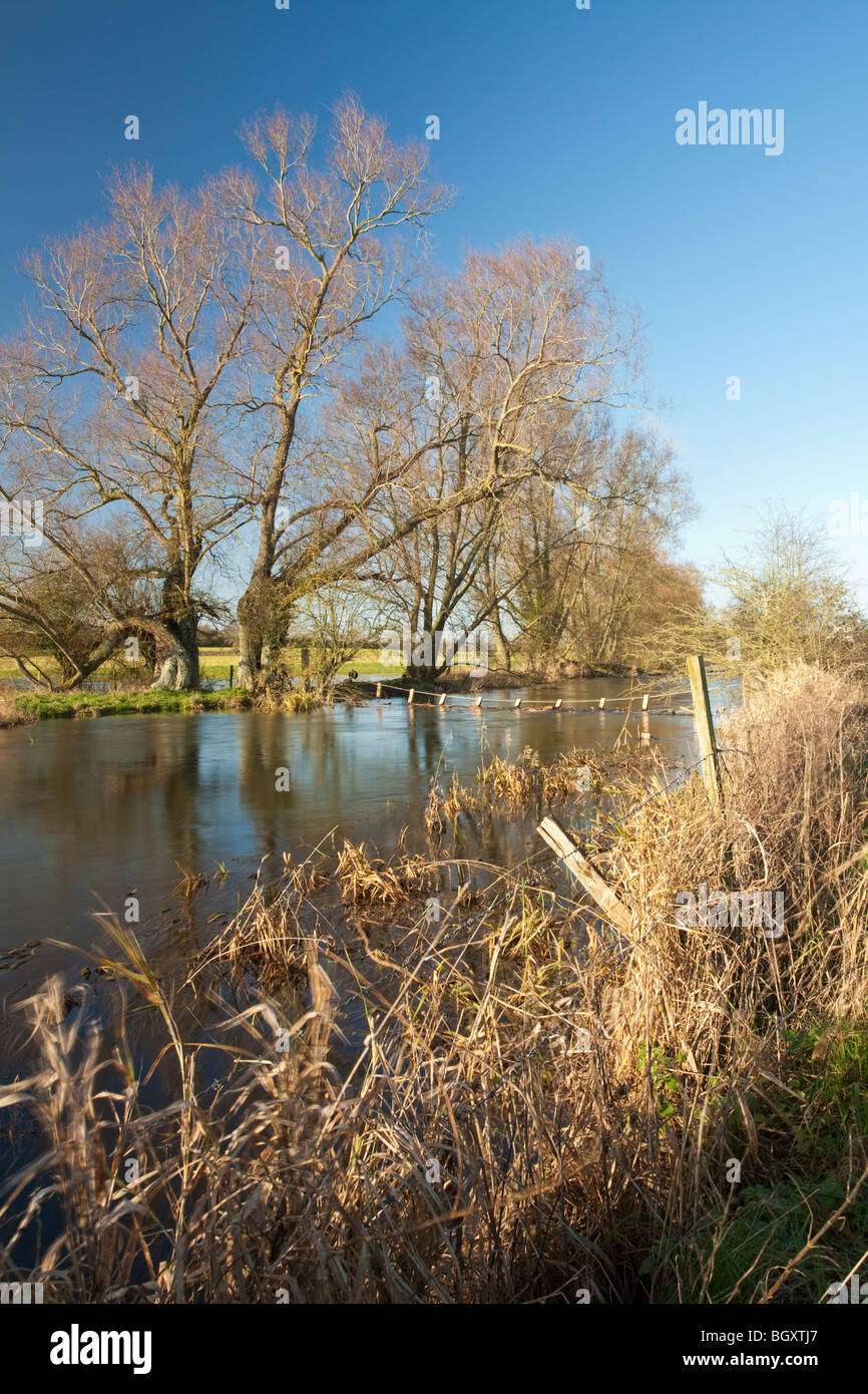 The upper reaches of the River Thames above Cricklade in Wiltshire, Uk Stock Photo