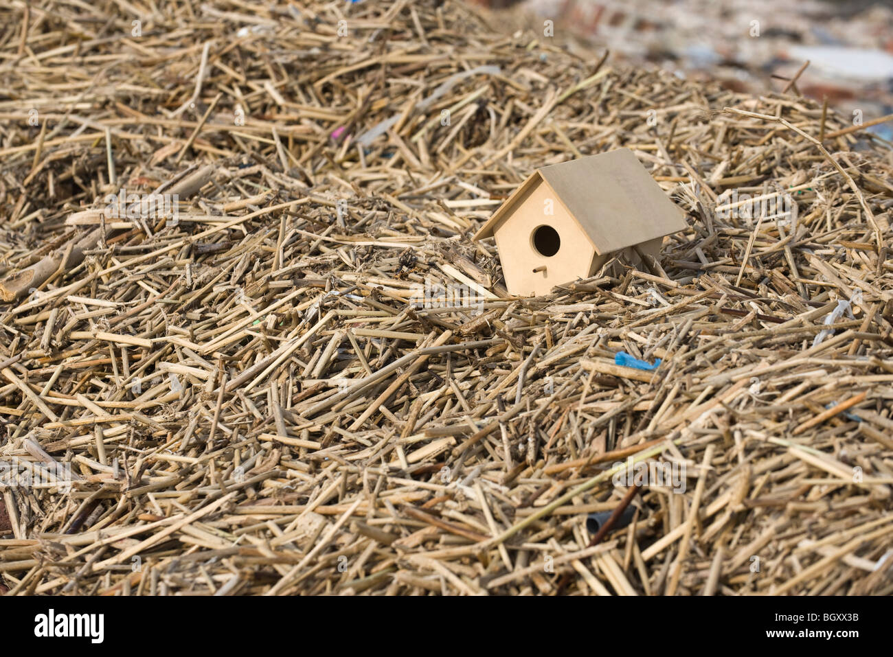 Birdhouse atop pile of mulch Stock Photo