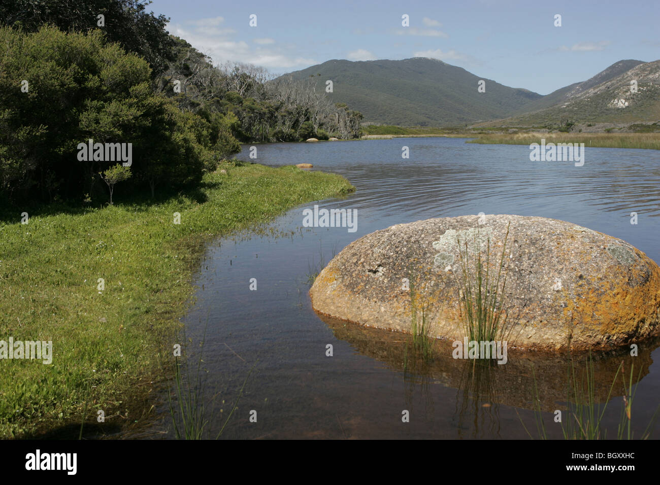 Australia river lake rock nature park green Stock Photo - Alamy