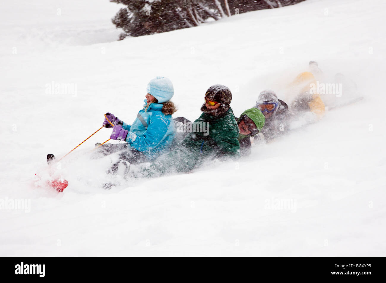 Children sledding in a fresh snowfall. Stock Photo