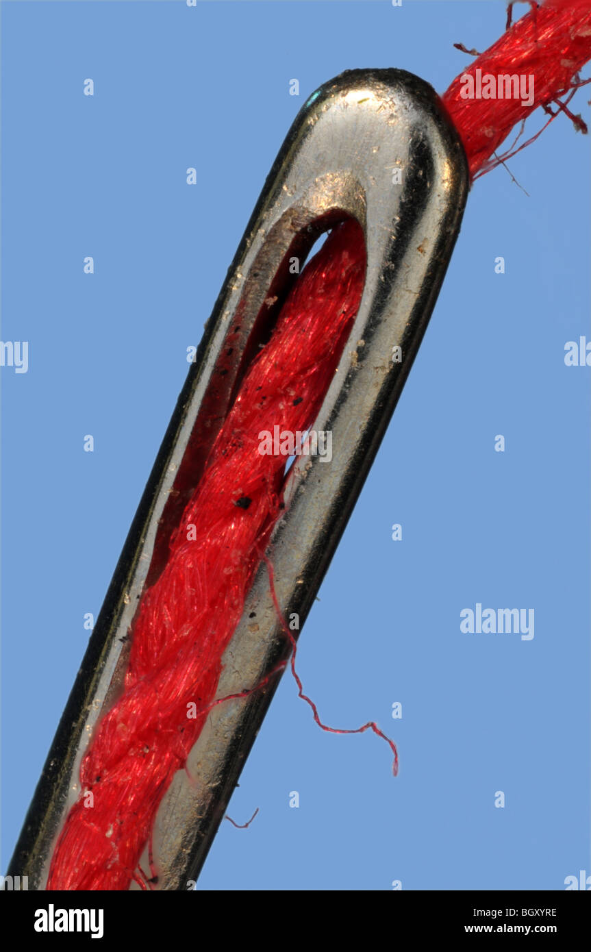 Cotton microscope hires stock photography and images Alamy