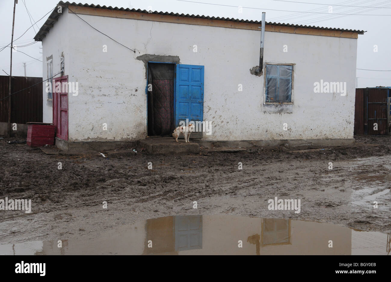 Views of the Livestock markets in Atyrau City in Kazakhstan. here you