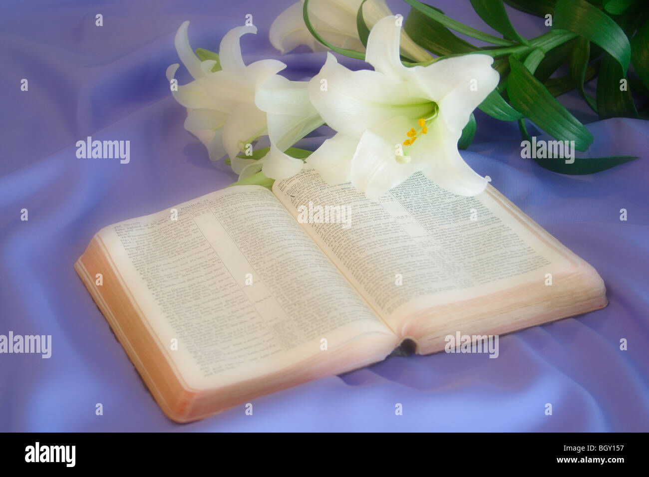 Easter Lily and Bible Stock Photo Alamy