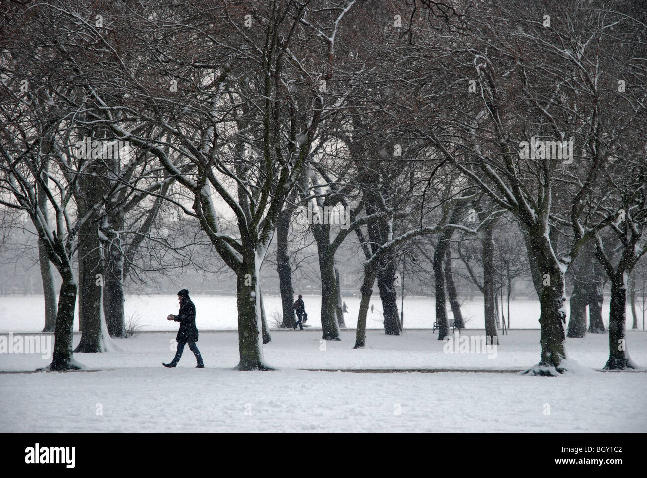 figures walking on a snowy Christmas Eve in the Meadows area of
