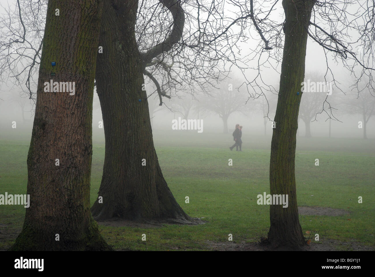 Two figures make their way through the Meadows in Edinburgh on a misty day Stock Photo