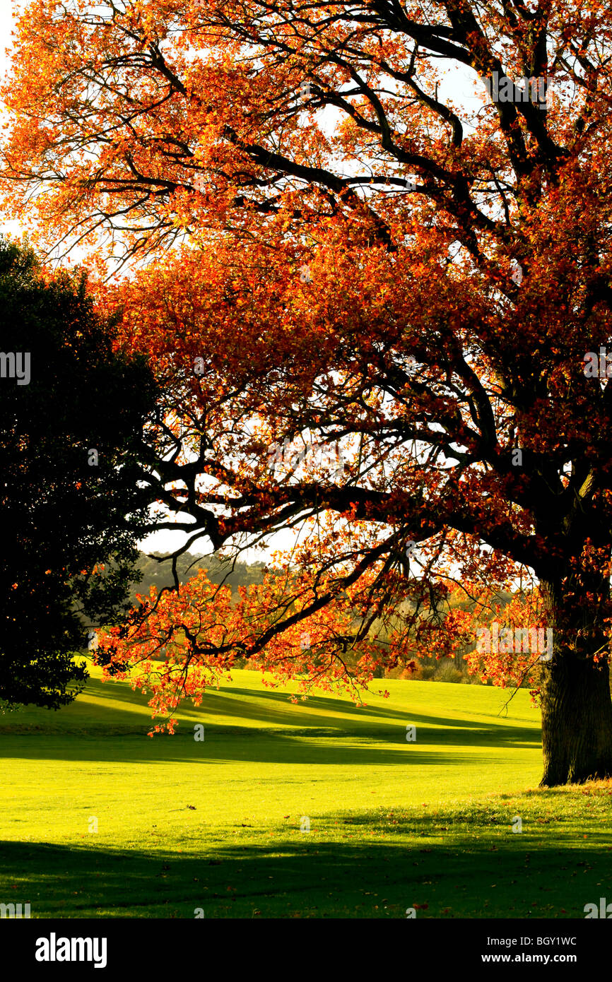 Cofton Park, Longbridge Stock Photo Alamy