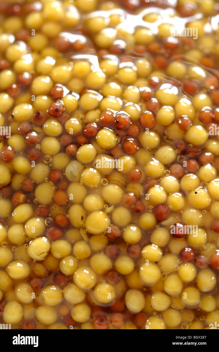 Closeup mustard hi-res stock photography and images - Alamy