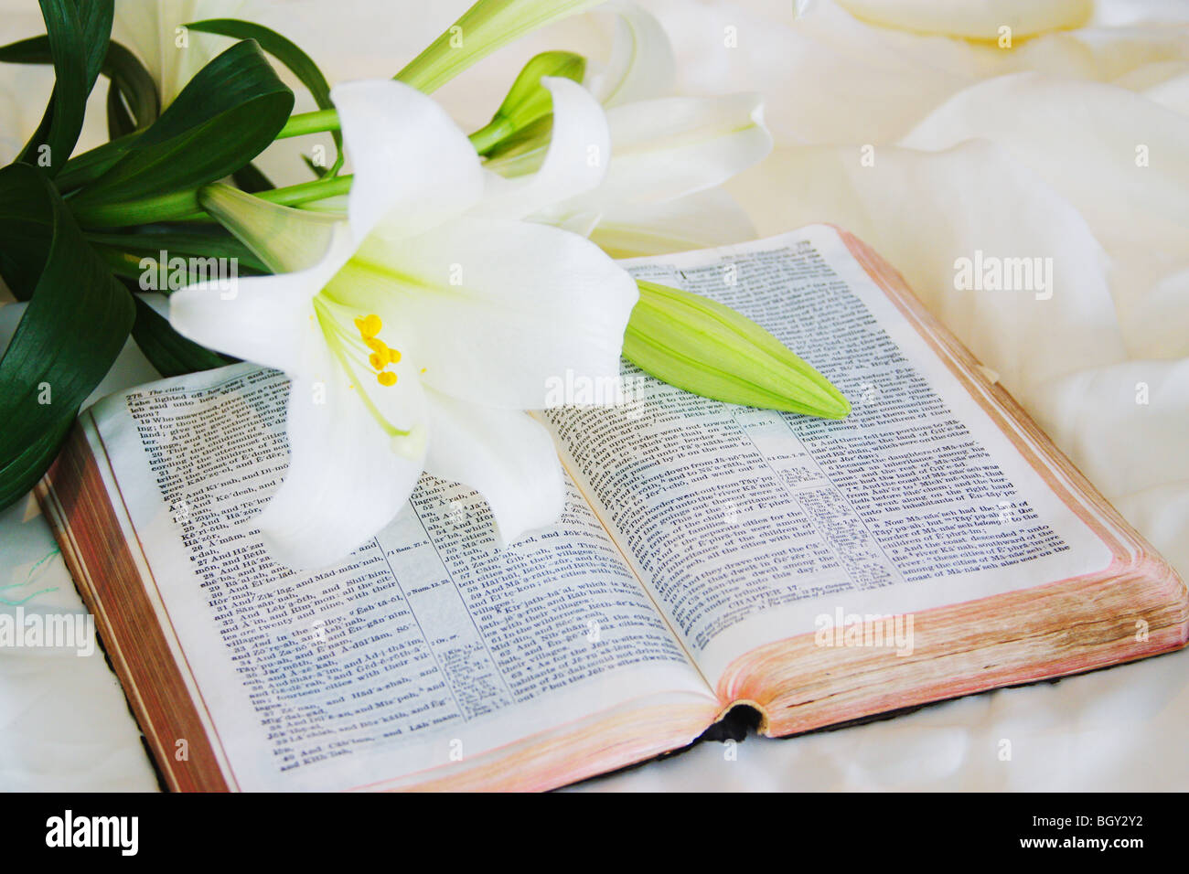 Easter Lily and Bible Stock Photo Alamy