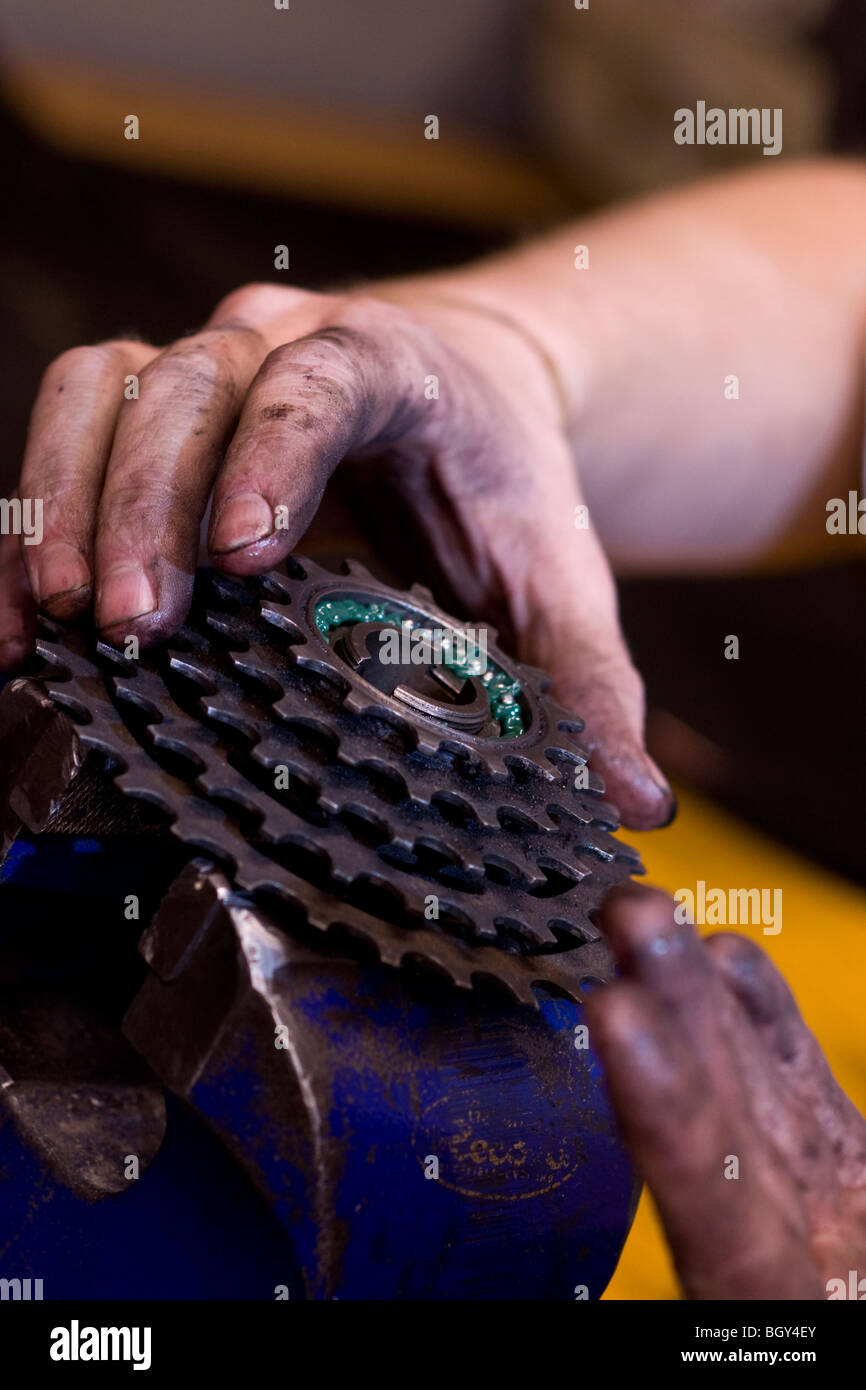 new bearings and grease being replaced in a bicycle sprocket Stock Photo Alamy