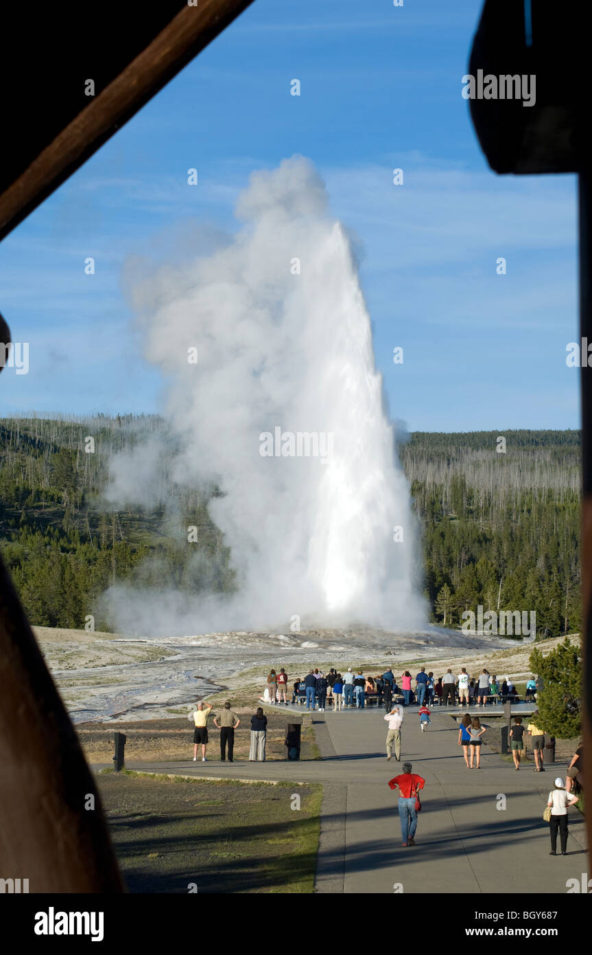 Old Faithful geyser at Yellowstone National Park Stock Photo - Alamy