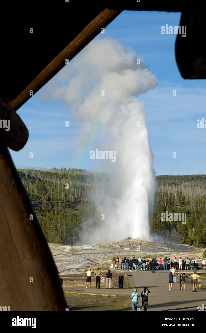 Old Faithful geyser at Yellowstone National Park Stock Photo - Alamy