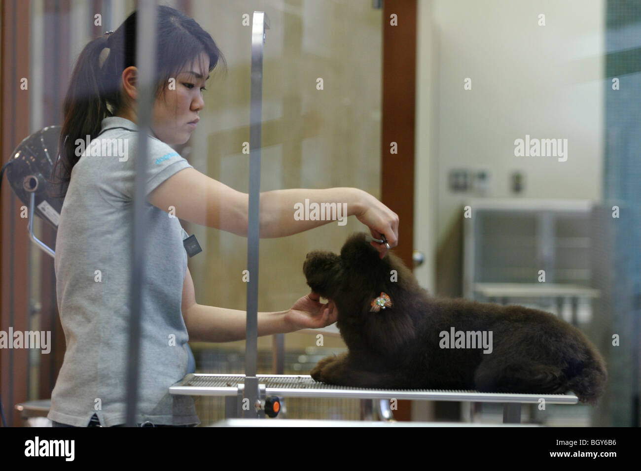 'DogDays' pet store/boutique, at Tokyo Midtown, Roppongi, Tokyo, Japan