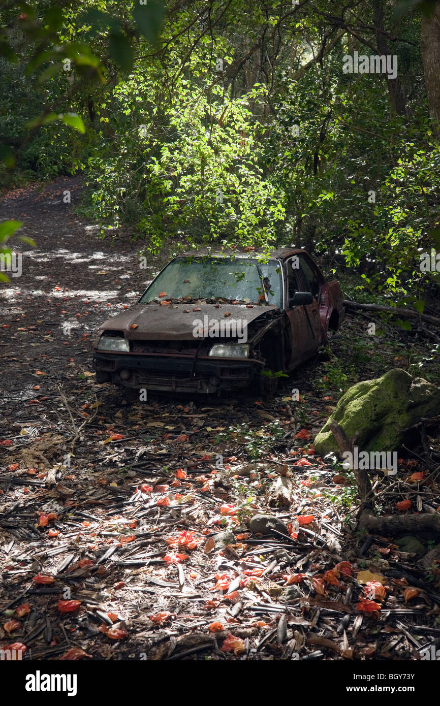Abandoned car in jungle hi-res stock photography and images - Alamy