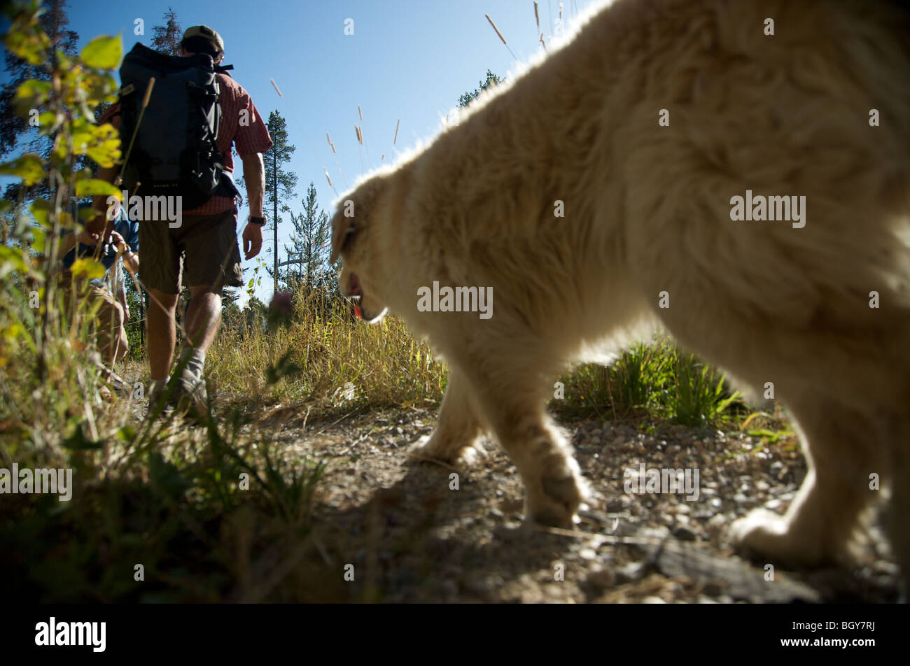 A day hiker takes his dog for a walk through Jackson Hole Ski Resort