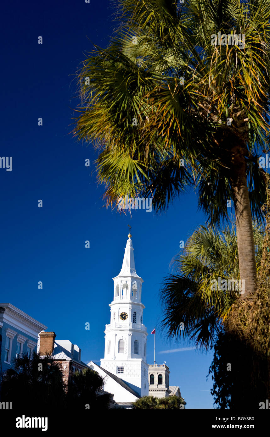 Palmetto tree with white steeple of St. Michael's Church, Broad Street, Charleston, South Carolina, United States of America. Stock Photo