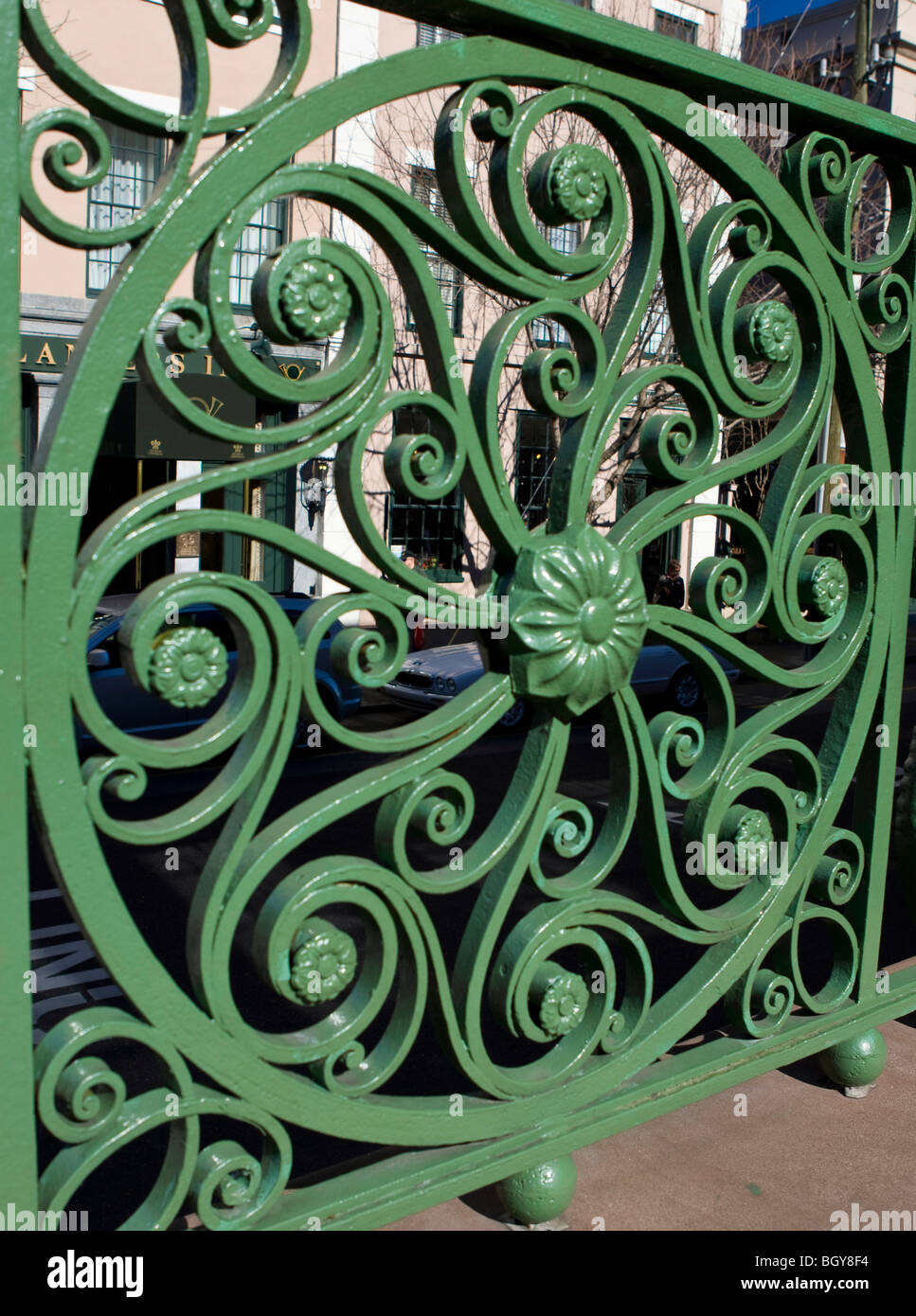 Iron work with flower painted green along the steps to the Daughters of the Confederacy building, Market and Meeting Streets Stock Photo