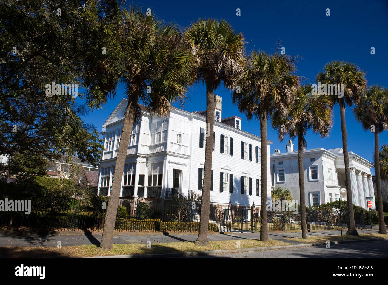 Palmetto trees line South Battery Street with large mansions, Charleston, South Carolina, United States of America. Stock Photo