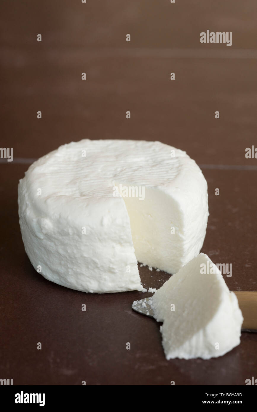 Fresh soft goat cheese from Tarn, France Stock Photo Alamy