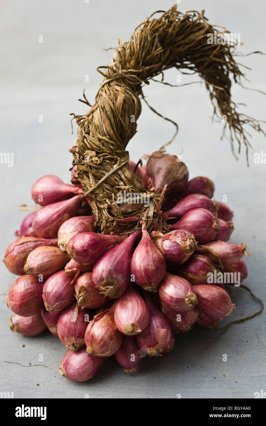 Bunch of shallots stock photo. Image of plant, shallot - 31223948