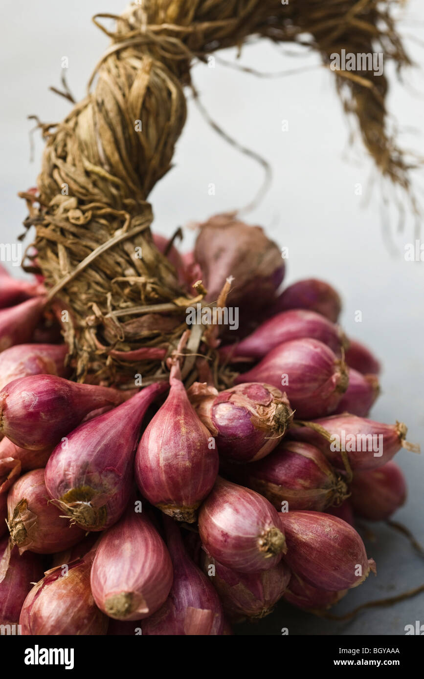 Bunch of shallots 27928331 PNG