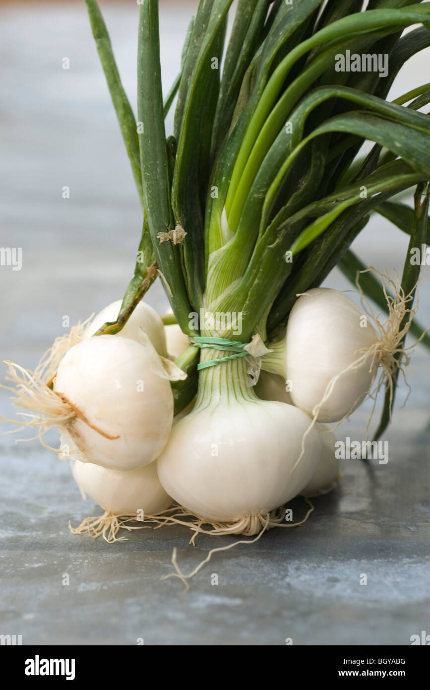 Spring onions Stock Photo