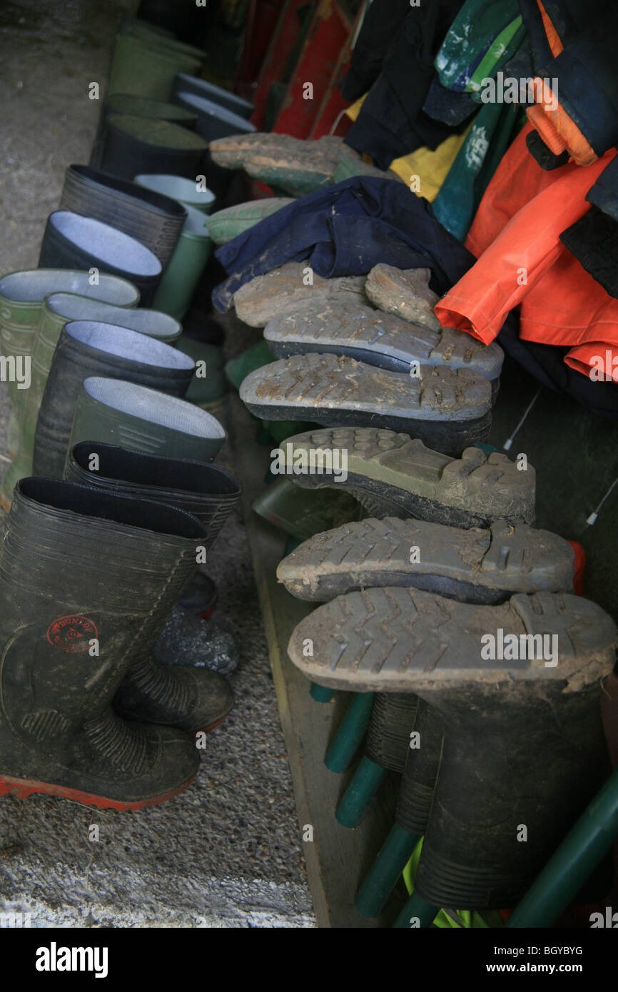 Gumboot Racking Rack of gumboots Stock Photo - Alamy