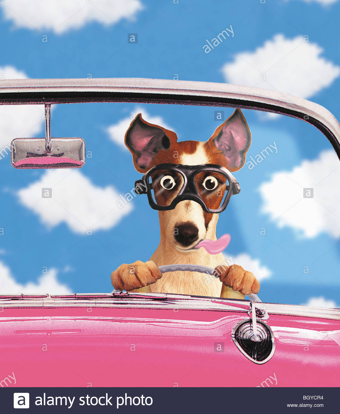 Driving Goggles Car Stock Photos & Driving Goggles Car Stock Images Alamy