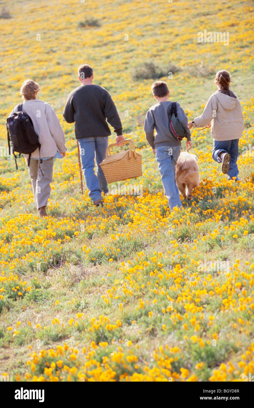Family hiking in field of wildflowers Stock Photo
